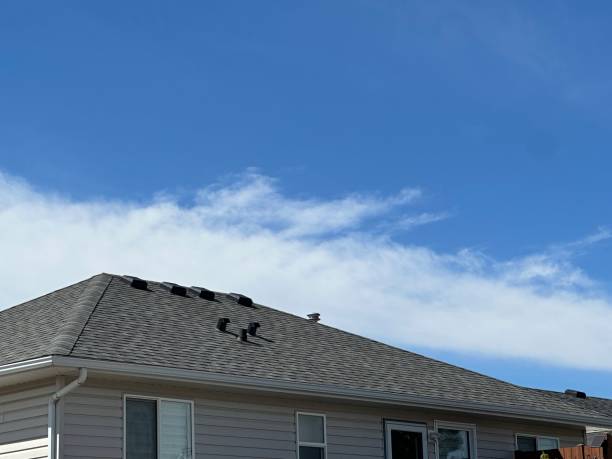 Best Gutter Replacement  in Powell, TN